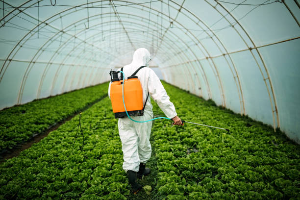 Best Mosquito Control Services  in Flordell Hills, MO
