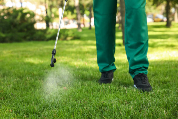 Best Rat Extermination Near Me  in Flordell Hills, MO