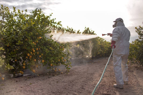 Best Pest Control for Restaurants  in Flordell Hills, MO
