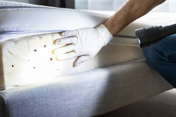 Best Residential Pest Control  in Flordell Hills, MO